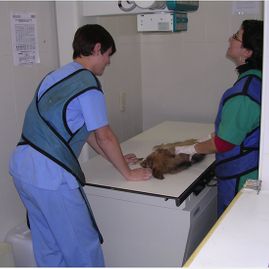 Clínica Veterinaria Puerto de Mazarrón clínica veterinaria 28