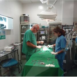 Clínica Veterinaria Puerto de Mazarrón clínica veterinaria 26